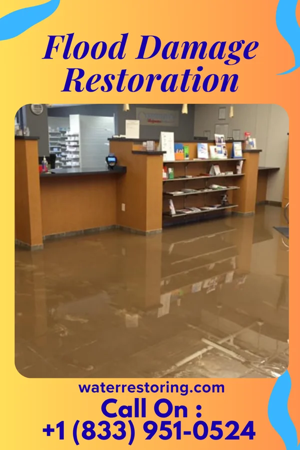 Flood Damage Restoration in Portland, ND