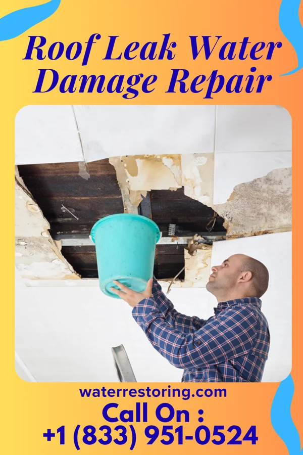 Roof Leak Water Damage Repair in Portland, ND